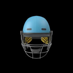 Cricket Helmet