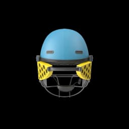 Cricket Helmet