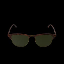 Black Sun Glasses