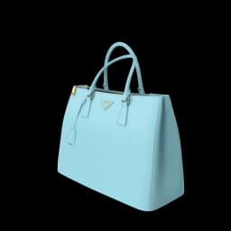 Prada Women Bag