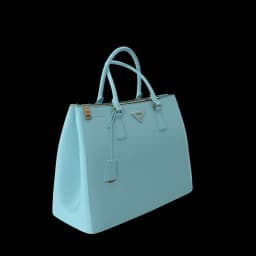 Prada Women Bag