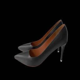 Black & Brown Slipper