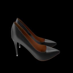 Black & Brown Slipper