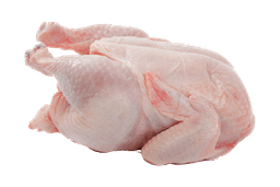 Chicken Meat