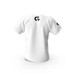 Gigabyte Aorus Men Tshirt