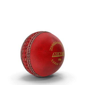 Cricket Ball