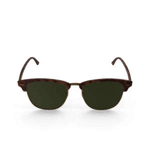 Black Sun Glasses