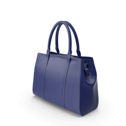 Blue Women's Handbag