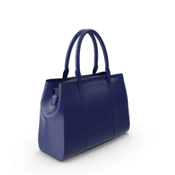 Blue Women's Handbag