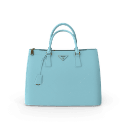 Prada Women Bag