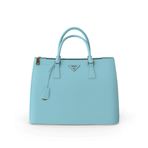 Prada Women Bag